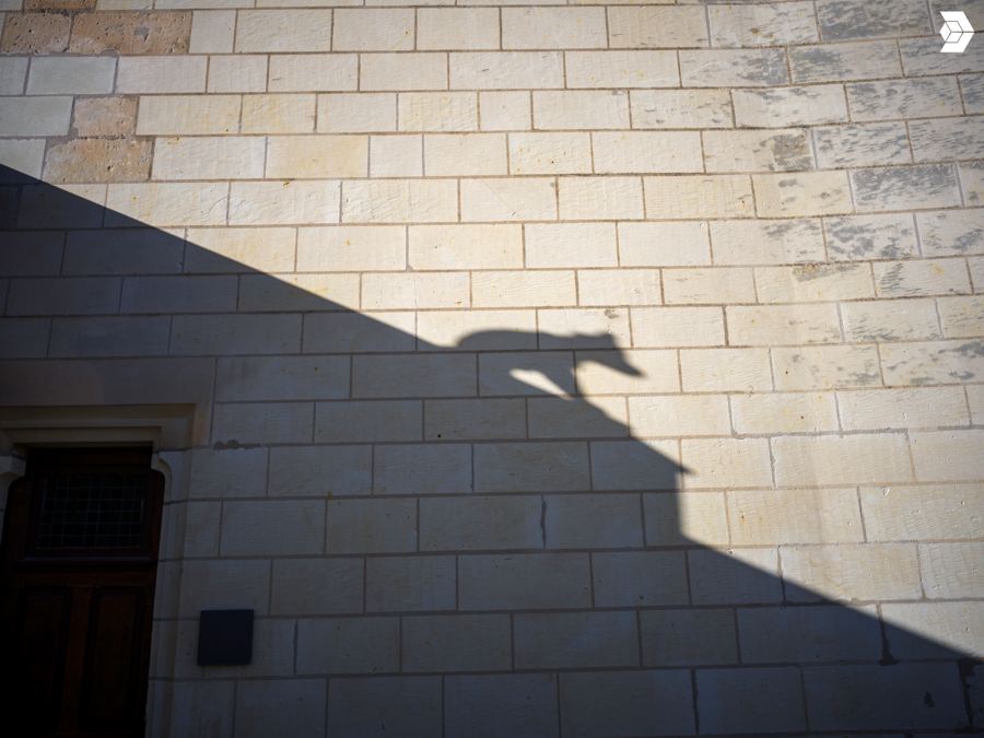 Ombre d'une gargouille projetée sur un mur calcaire